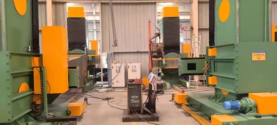 STWB100 Head and Tail Asynchronous Lifting Positioner